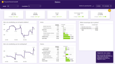 De pagina Balans in het Power BI Financieel dashboard biedt geconsolideerde informatie over meerdere bedrijven.