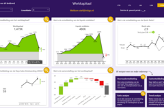 power bi dashboard laten maken 03