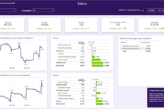 power bi dashboard laten maken 04