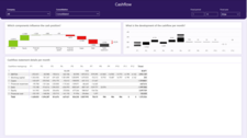 Exact Consolidatie van het cashflow statement.