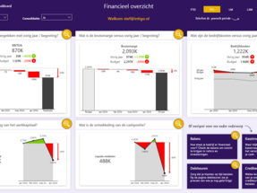 Voorbeeld Power BI dashboard Financieel